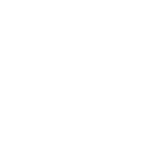 Pointer
